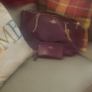 Coach tote and wallet set